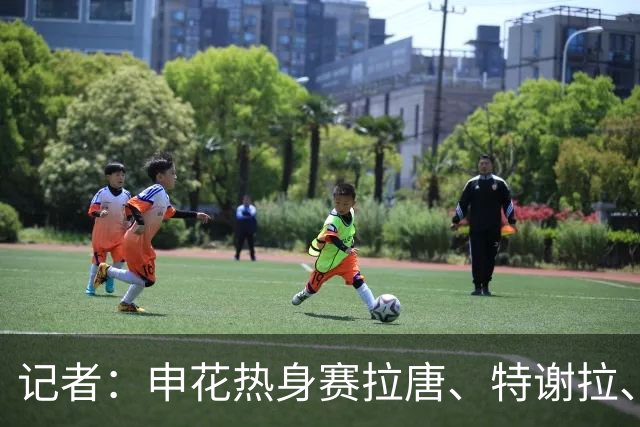 记者：申花热身赛拉唐、特谢拉、米内罗、刘诚宇没有出场