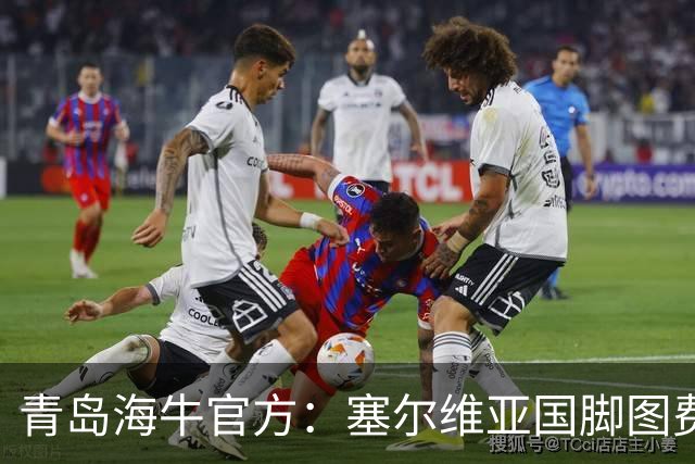 青岛海牛官方：塞尔维亚国脚图费格季奇加盟球队